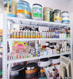 專業代理，創意設計——森煌寵物用品有限公司，您的最佳商業伙伴