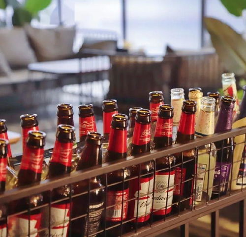 太過癮了 天津這家新晉網紅打卡圣地,人均10元喝過癮 阿拉伯水煙 百威啤酒 特調飲品...