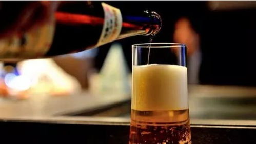 問(wèn)世間酒為何物 酒是男人的魂 by