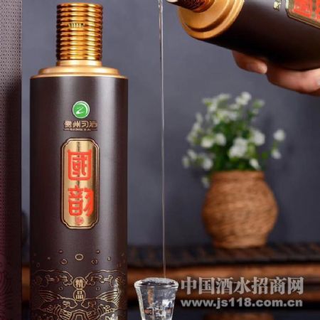 酒精品國(guó)韻酒火熱招商中